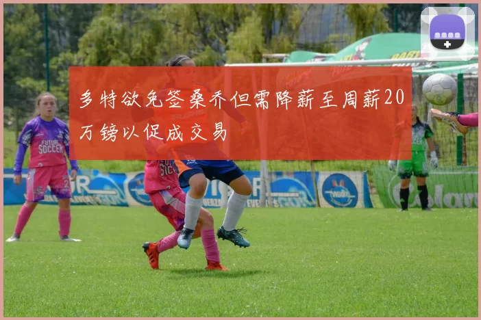 多特欲免签桑乔但需降薪至周薪20万镑以促成交易